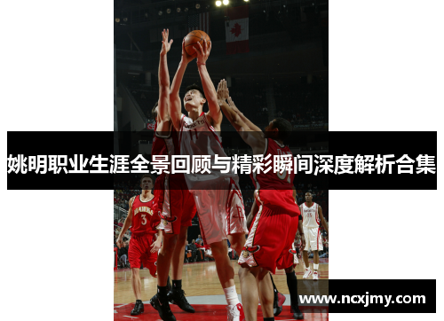 姚明职业生涯全景回顾与精彩瞬间深度解析合集